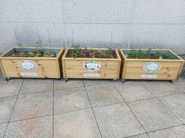 KakaoTalk_20250516_142847239_03.jpg