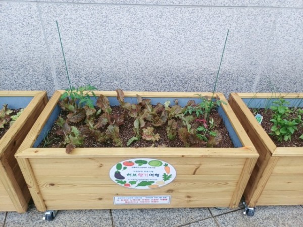 KakaoTalk_20250516_142847239_01.jpg